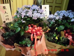 CIMG0236