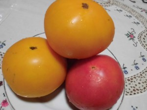 CIMG0273