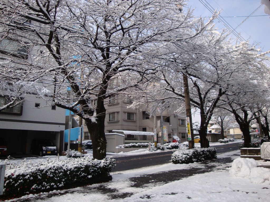 DSC00810