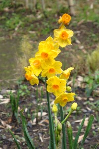 DSC00839
