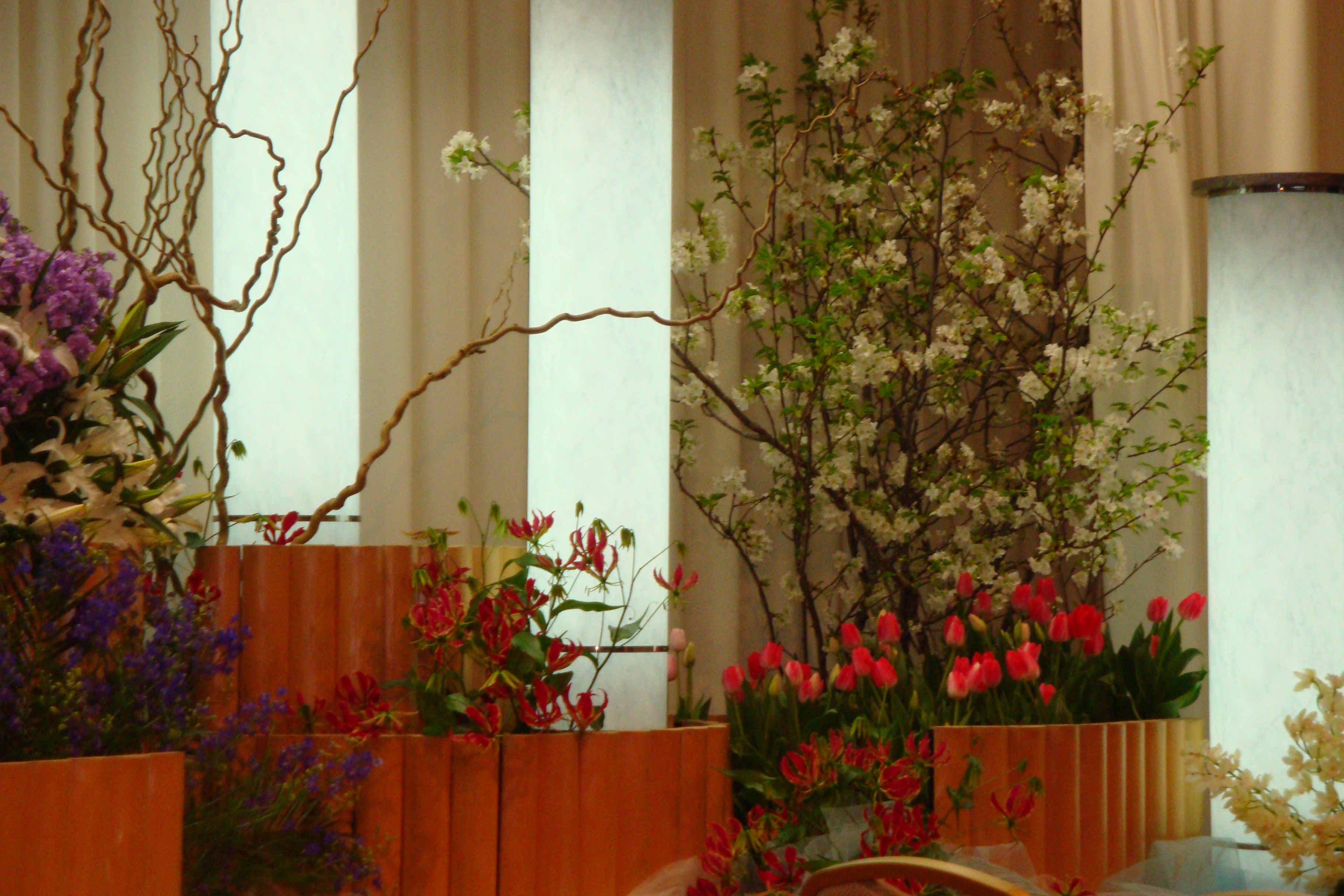 DSC01148
