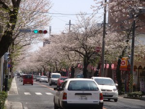 同じく紫原です。