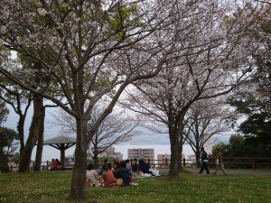 目の前に桜島が見られます。