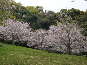 DSC01229