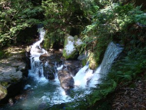 DSC01918