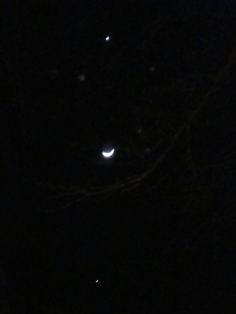 DSC02180