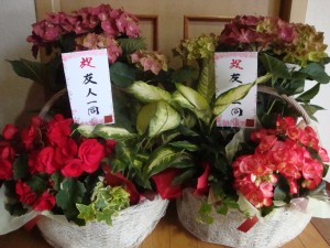 DSC05711