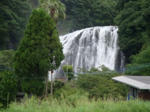 DSC05937