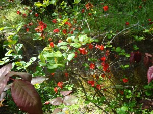 DSC07578