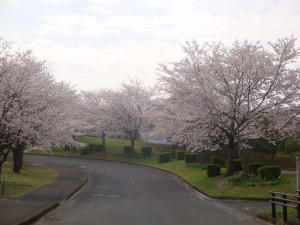 DSC07612