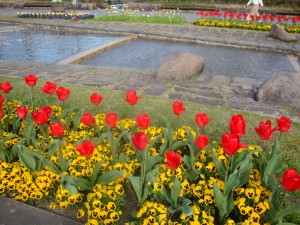 DSC07616