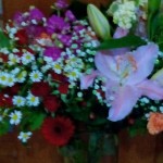 IMG_20150129_114918