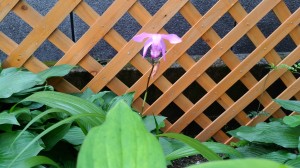 IMG_20170514_092913