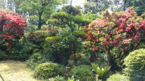 IMG_20170522_100032