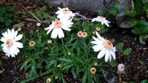 IMG_20180308_152516