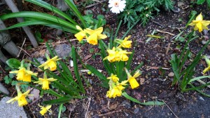 IMG_20180308_152530