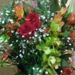 IMG_20180311_184503