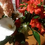 IMG_20180311_184617
