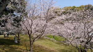 IMG_20180325_114216