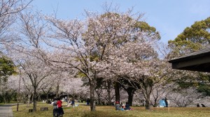 IMG_20180325_134904