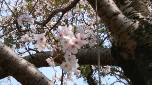 IMG_20180325_141452
