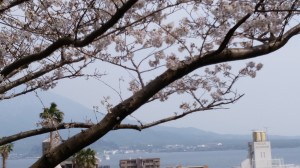IMG_20180325_143553