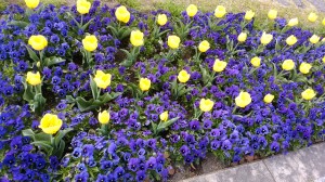 IMG_20180327_152132