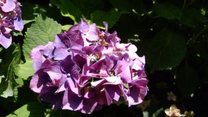 IMG_20180601_125447