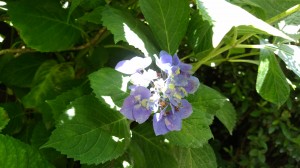 IMG_20180601_125457