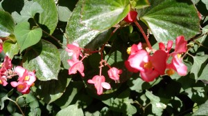 IMG_20180601_125540