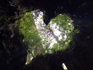 IMG_3633