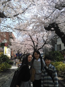 都立大近くの公園は桜が満開でとてもきれいでした。
