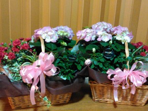 友人がきれいなアジサイなどの花かごを送ってくれて、ステージを華やかに盛り上げてくれました。