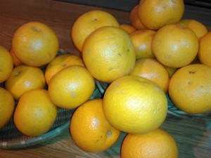 たくさんの量です(ﾉﾟοﾟ)ﾉ　