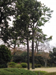 KIMG0512